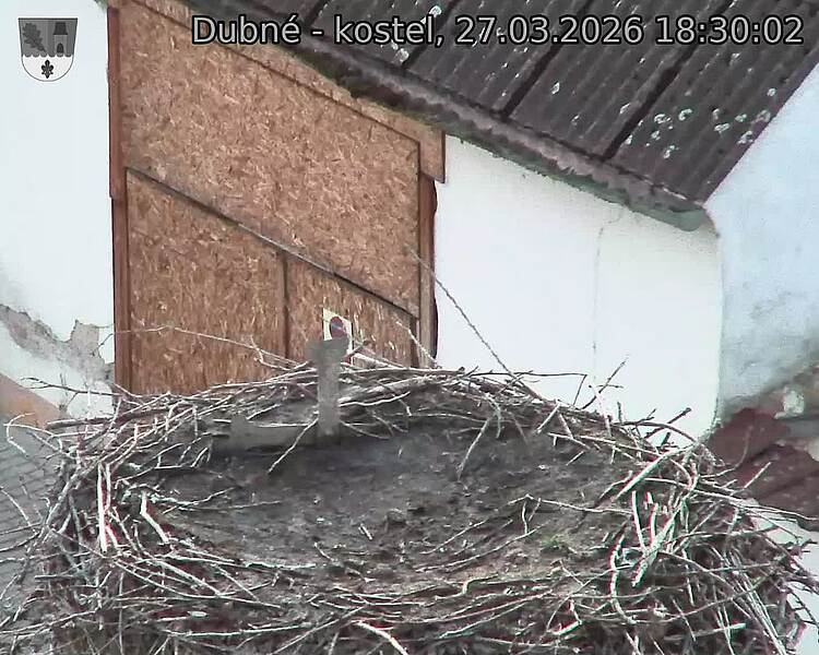 Capi_Dubne_20260327_183003.jpg (1350&nbsp;x&nbsp;1080)
