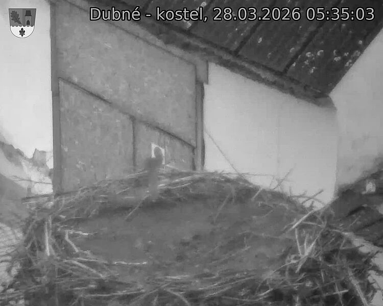 Capi_Dubne_20260328_053503.jpg (1350&nbsp;x&nbsp;1080)