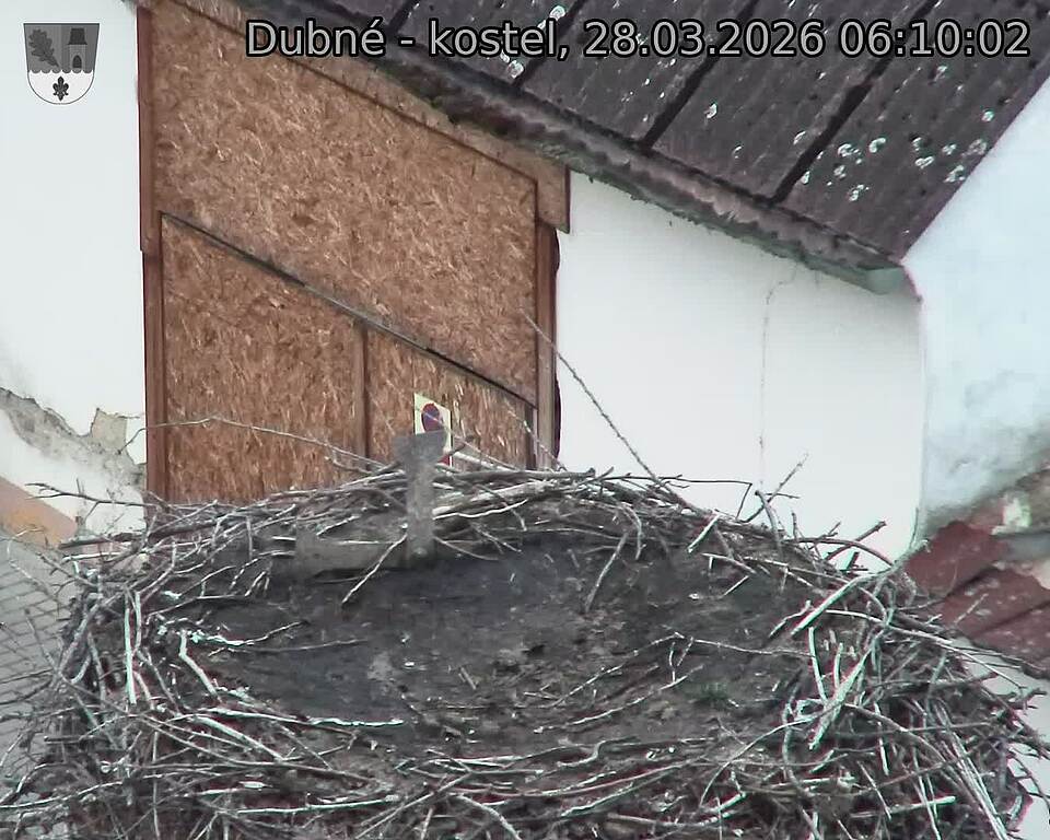 Capi_Dubne_20260328_061002.jpg (1350&nbsp;x&nbsp;1080)