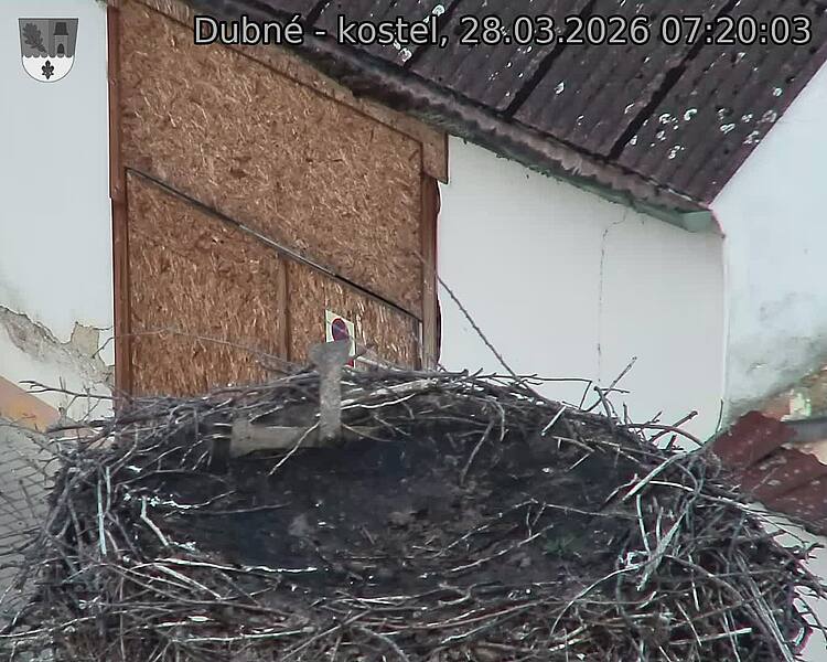 Capi_Dubne_20260328_072003.jpg (1350&nbsp;x&nbsp;1080)
