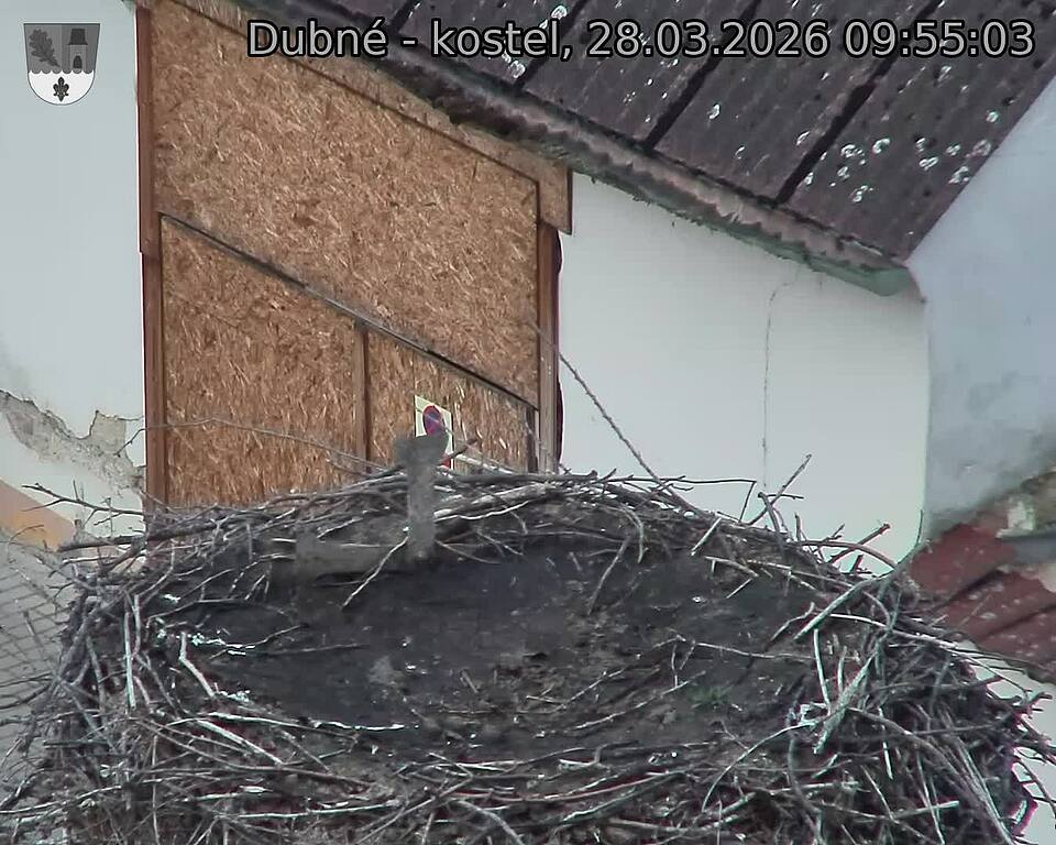 Capi_Dubne_20260328_095503.jpg (1350&nbsp;x&nbsp;1080)