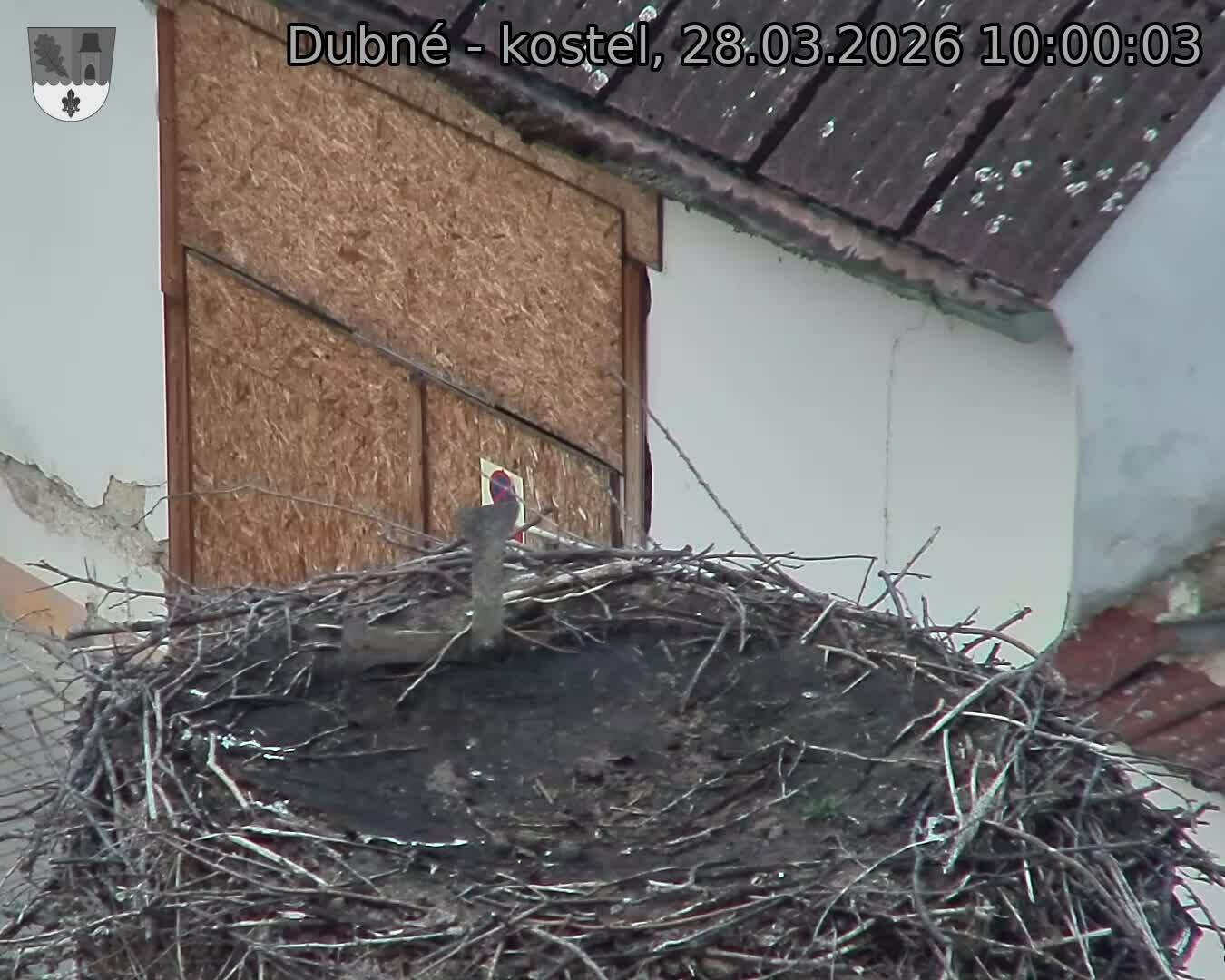 Capi_Dubne_20260328_100003.jpg (1350&nbsp;x&nbsp;1080)