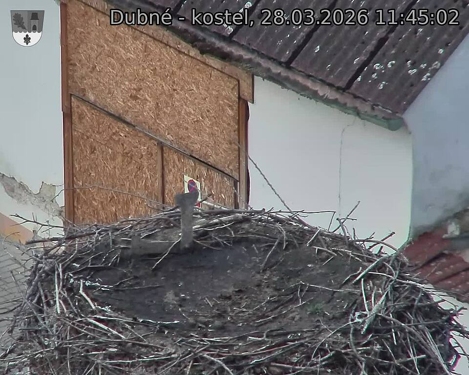 Capi_Dubne_20260328_114502.jpg (1350&nbsp;x&nbsp;1080)