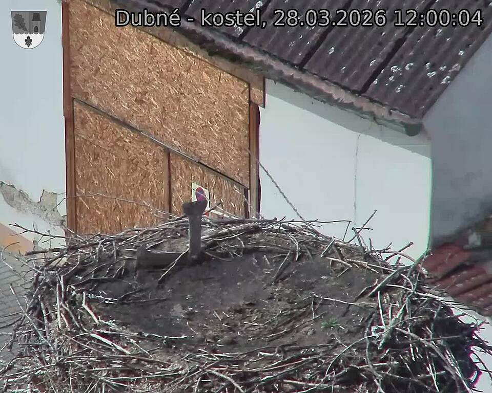 Capi_Dubne_20260328_120004.jpg (1350&nbsp;x&nbsp;1080)