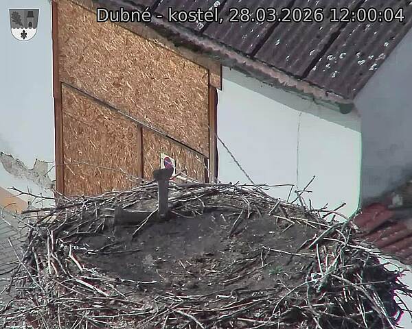Capi_Dubne_20260328_120004.jpg (1350&nbsp;x&nbsp;1080)