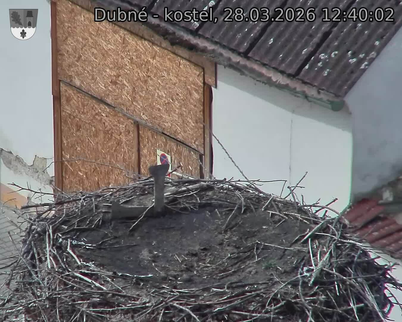 Capi_Dubne_20260328_124002.jpg (1350&nbsp;x&nbsp;1080)