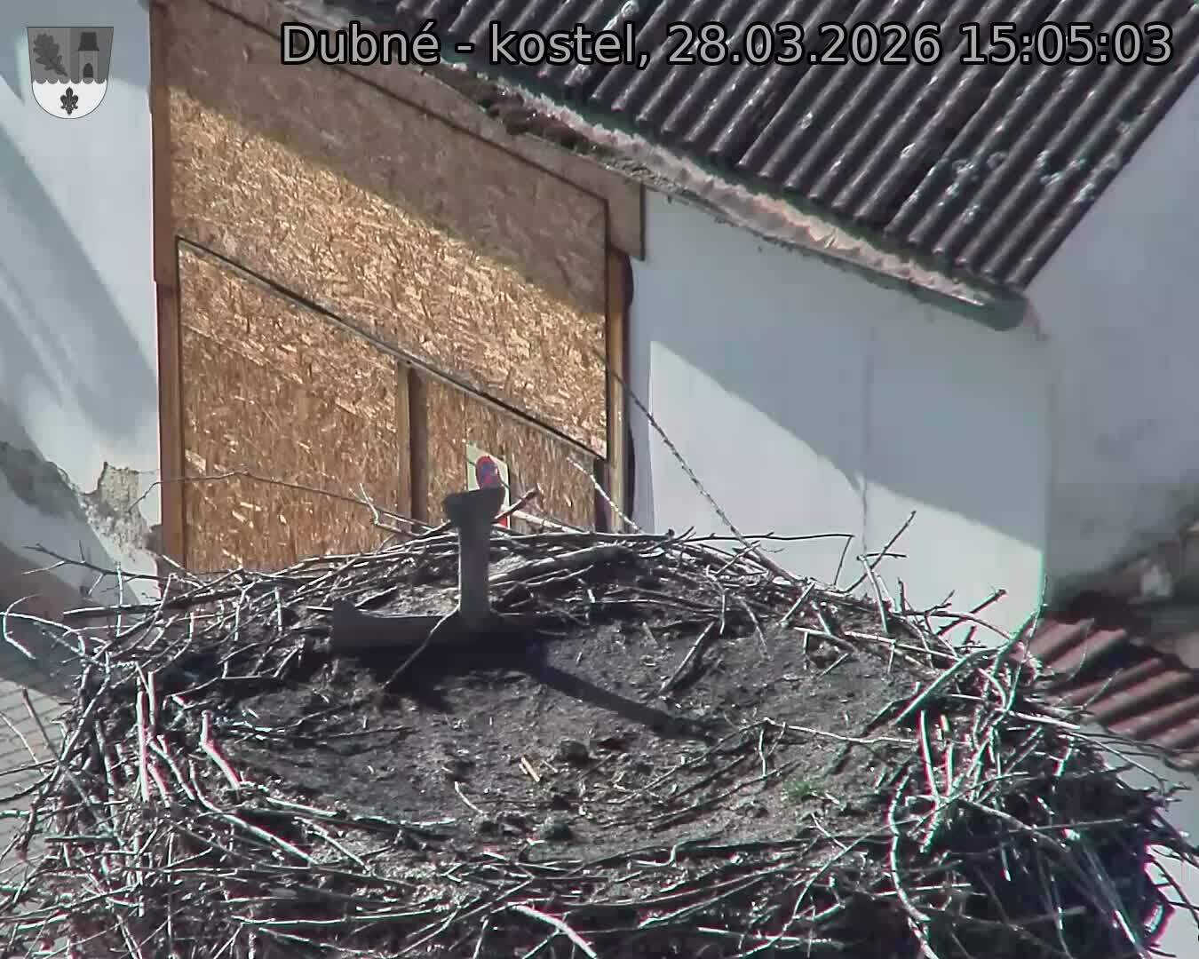 Capi_Dubne_20260328_150503.jpg (1350&nbsp;x&nbsp;1080)