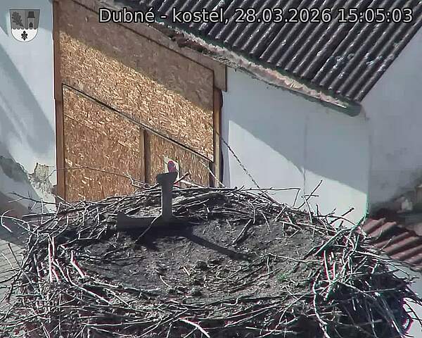 Capi_Dubne_20260328_150503.jpg (1350&nbsp;x&nbsp;1080)