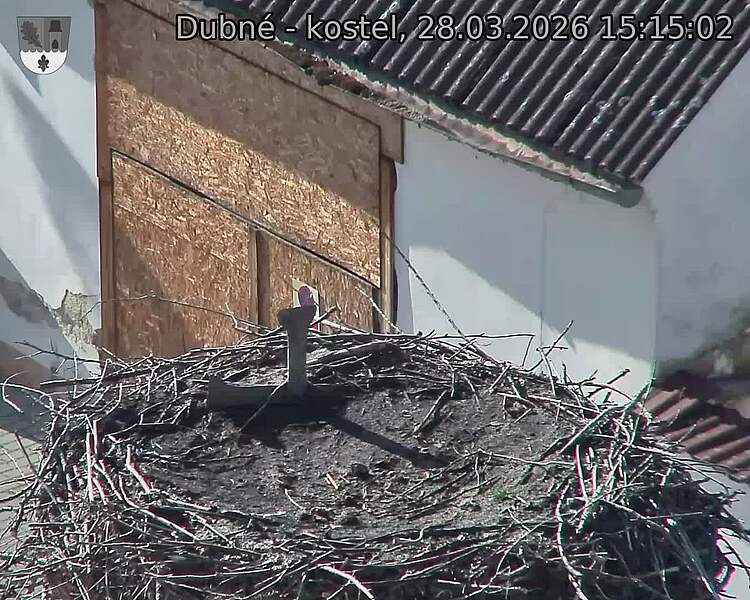 Capi_Dubne_20260328_151502.jpg (1350&nbsp;x&nbsp;1080)