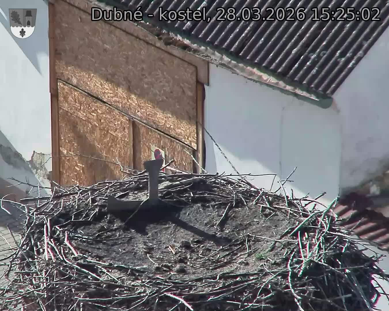 Capi_Dubne_20260328_152502.jpg (1350&nbsp;x&nbsp;1080)
