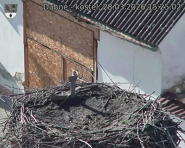 Capi_Dubne_20260328_152502.jpg (1350&nbsp;x&nbsp;1080)