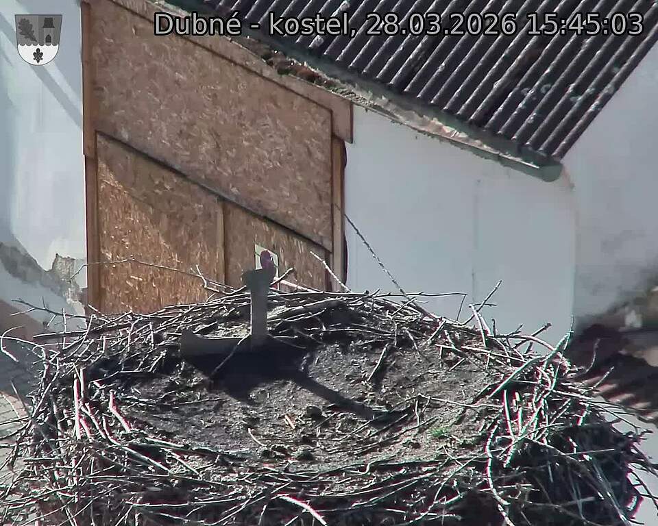 Capi_Dubne_20260328_154503.jpg (1350&nbsp;x&nbsp;1080)