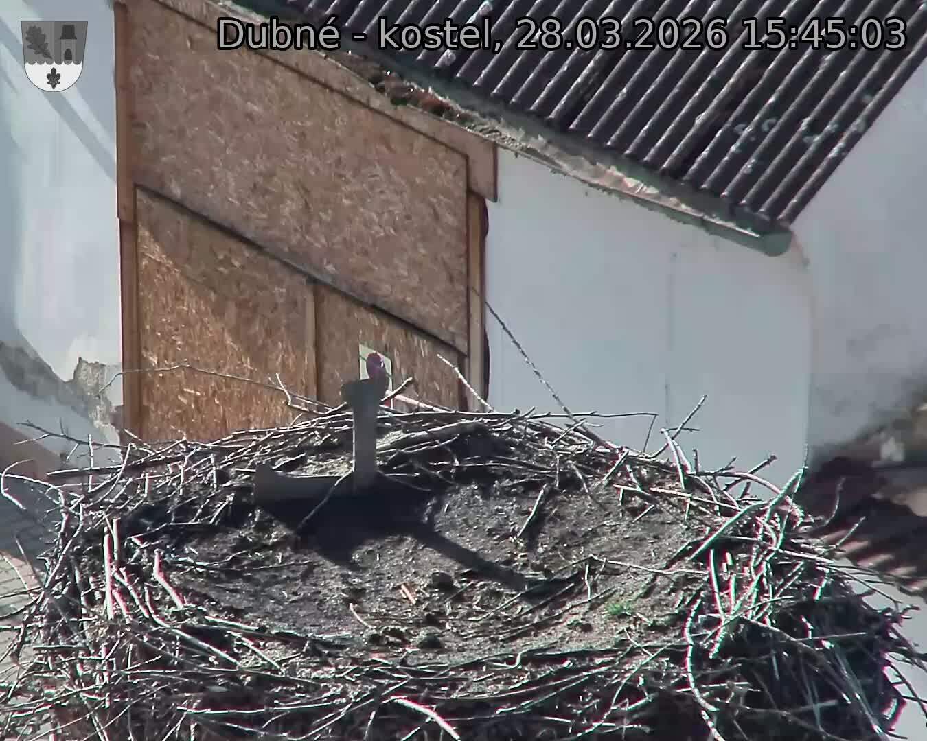 Capi_Dubne_20260328_154503.jpg (1350&nbsp;x&nbsp;1080)