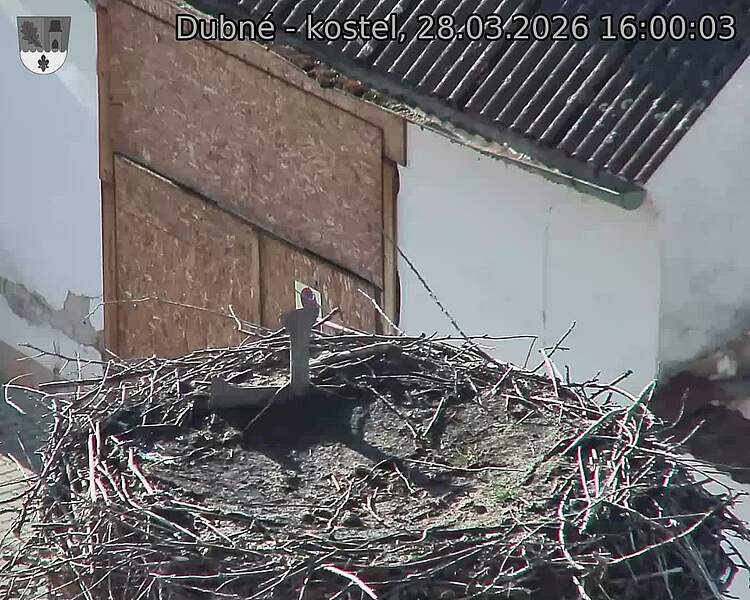 Capi_Dubne_20260328_160003.jpg (1350&nbsp;x&nbsp;1080)
