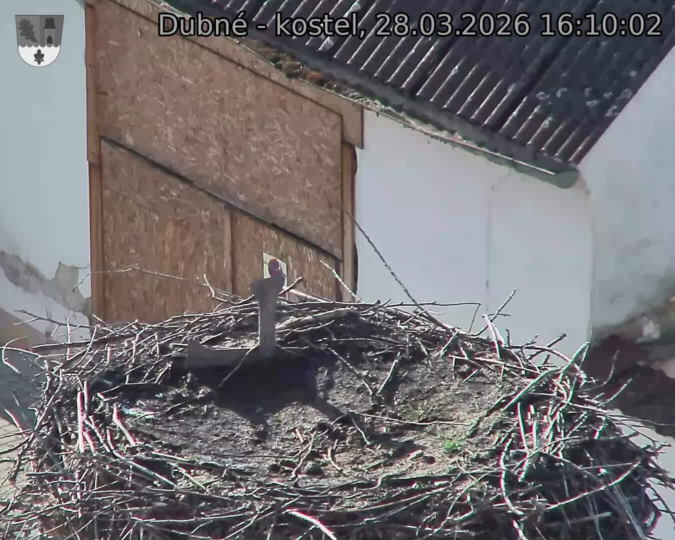 Capi_Dubne_20260328_161002.jpg (1350&nbsp;x&nbsp;1080)