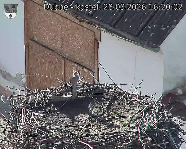 Capi_Dubne_20260328_162002.jpg (1350&nbsp;x&nbsp;1080)