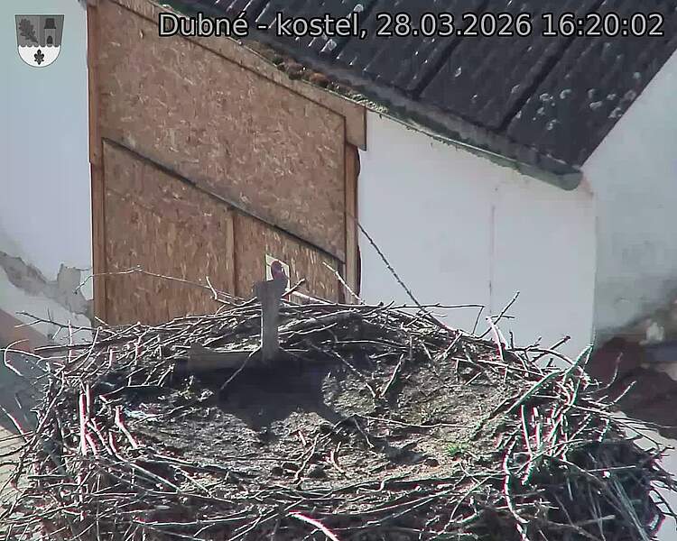 Capi_Dubne_20260328_162002.jpg (1350&nbsp;x&nbsp;1080)