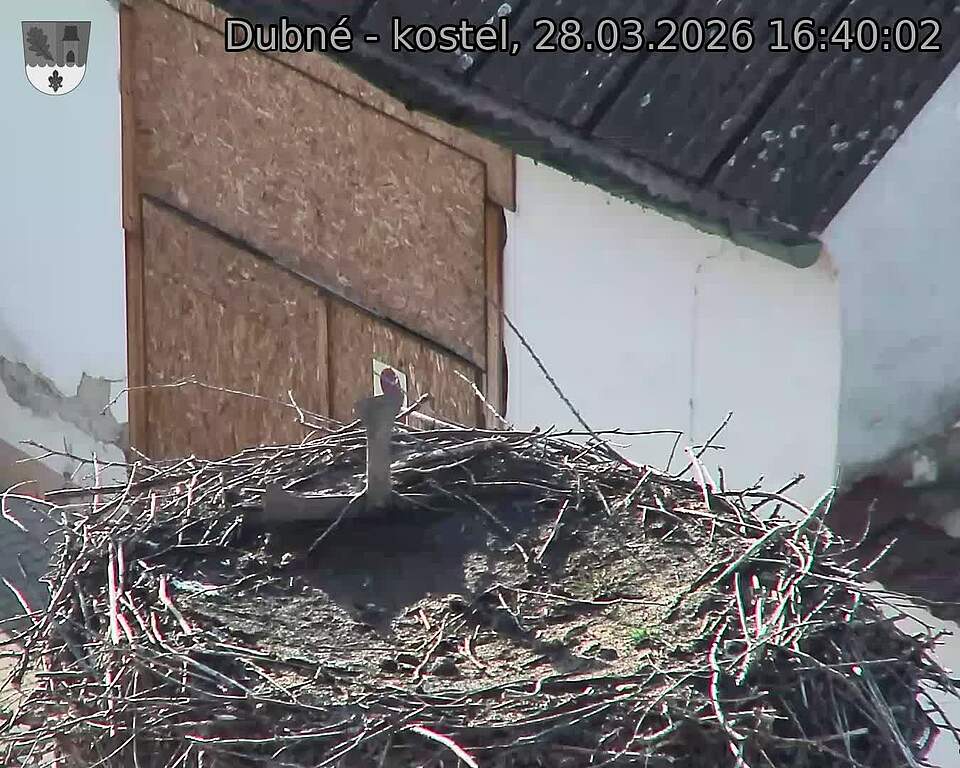 Capi_Dubne_20260328_164002.jpg (1350&nbsp;x&nbsp;1080)