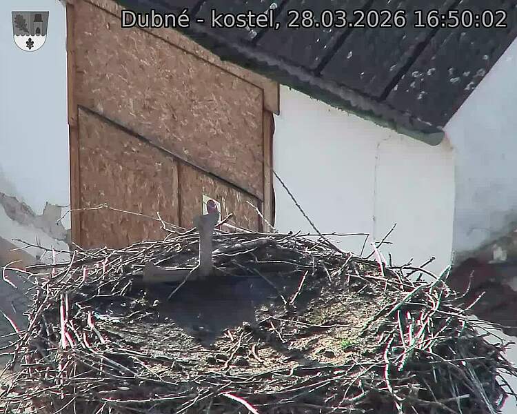 Capi_Dubne_20260328_165002.jpg (1350&nbsp;x&nbsp;1080)
