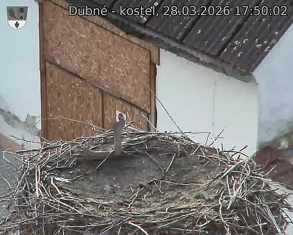 Capi_Dubne_20260328_175002.jpg (1350&nbsp;x&nbsp;1080)