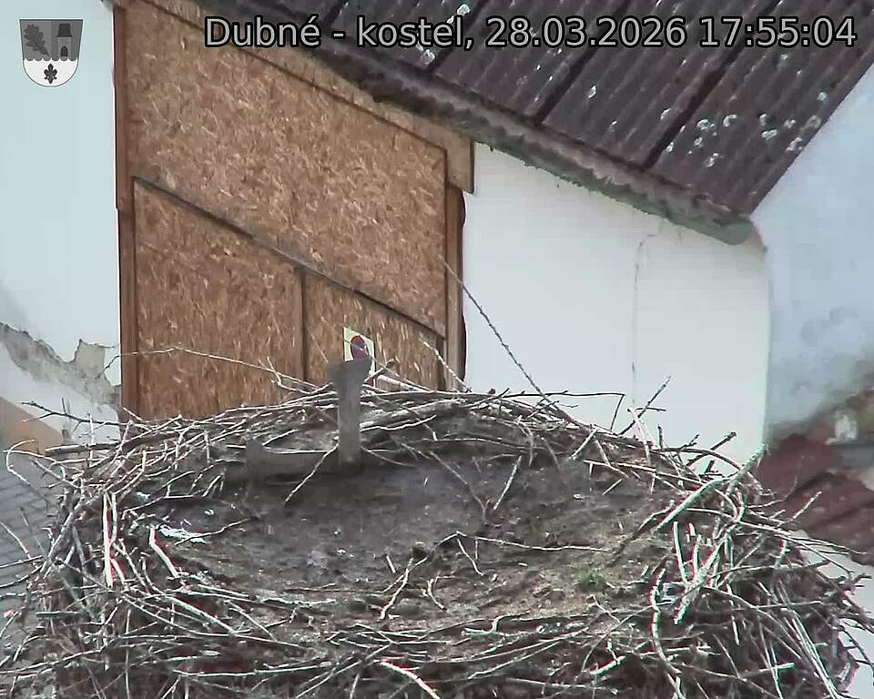 Capi_Dubne_20260328_175504.jpg (1350&nbsp;x&nbsp;1080)