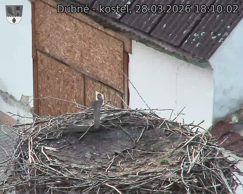 Capi_Dubne_20260328_181002.jpg (1350&nbsp;x&nbsp;1080)