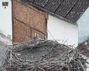 Capi_Dubne_20260328_183003.jpg (1350&nbsp;x&nbsp;1080)