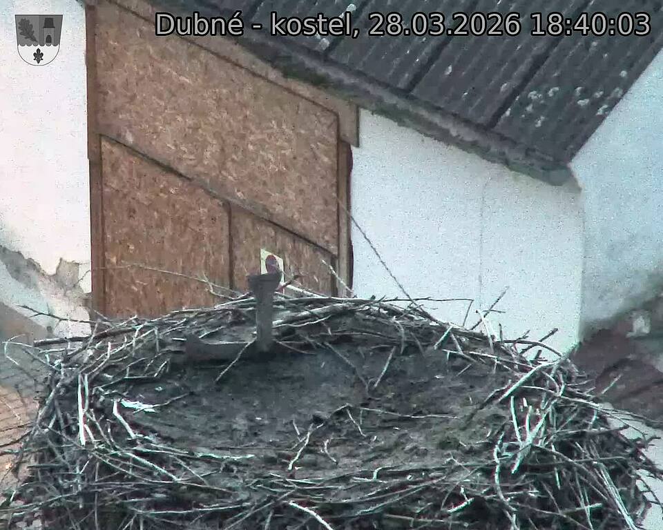 Capi_Dubne_20260328_184003.jpg (1350&nbsp;x&nbsp;1080)