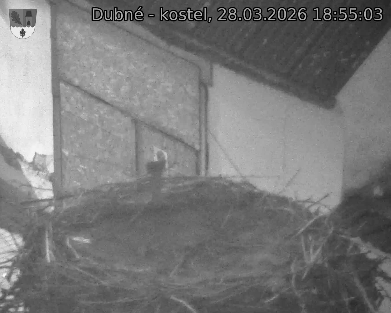 Capi_Dubne_20260328_185503.jpg (1350&nbsp;x&nbsp;1080)