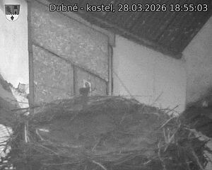 Capi_Dubne_20260328_185503.jpg (1350&nbsp;x&nbsp;1080)