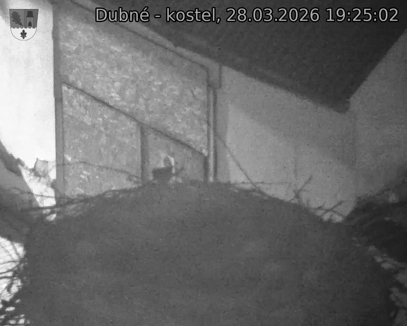 Capi_Dubne_20260328_192502.jpg (1350&nbsp;x&nbsp;1080)