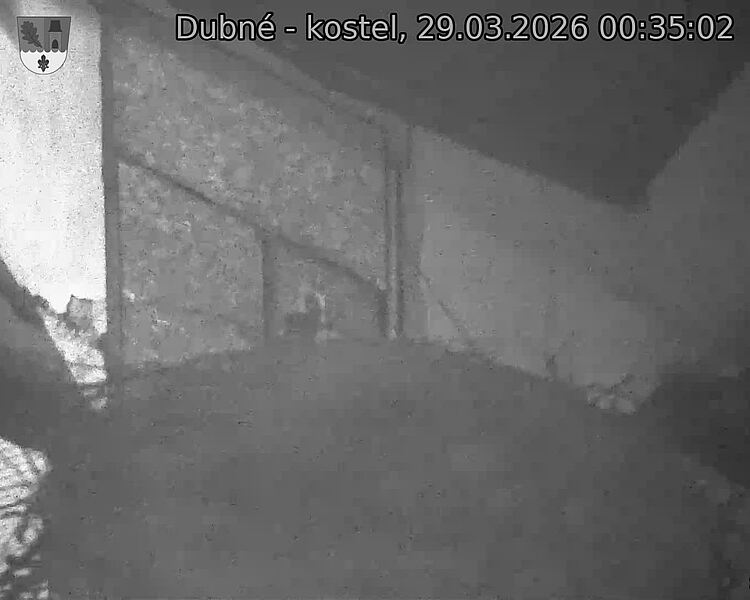 Capi_Dubne_20260329_003502.jpg (1350&nbsp;x&nbsp;1080)