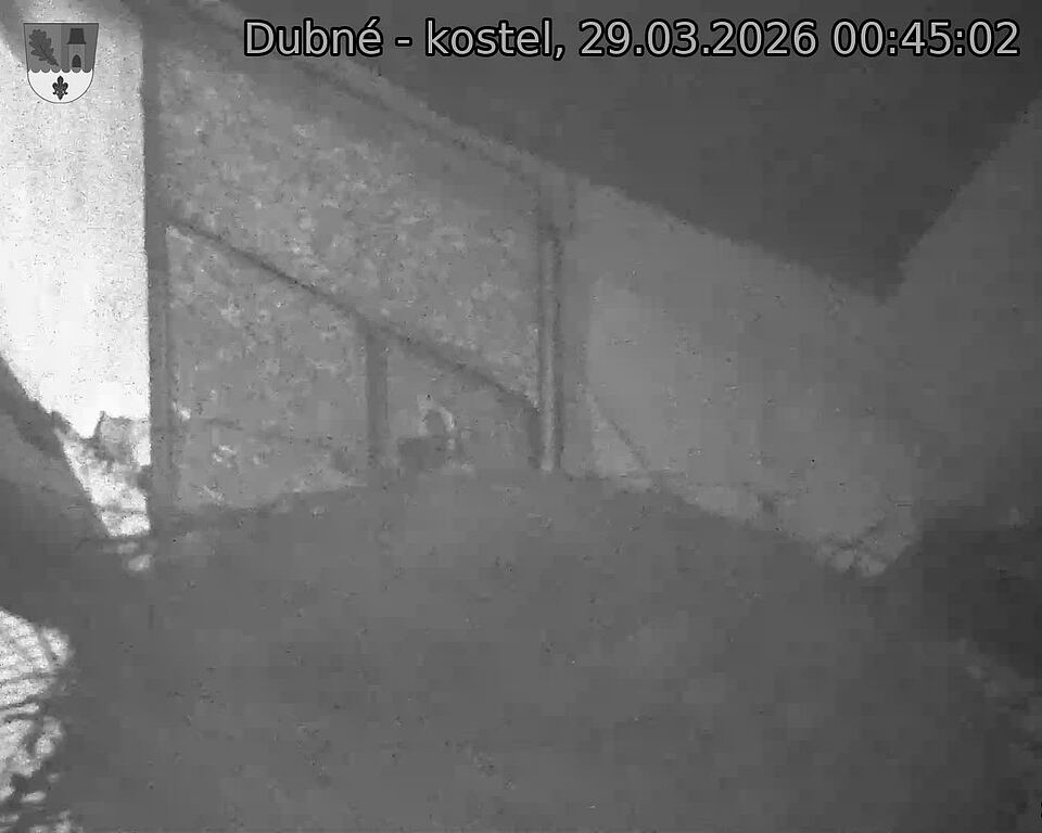 Capi_Dubne_20260329_004502.jpg (1350&nbsp;x&nbsp;1080)