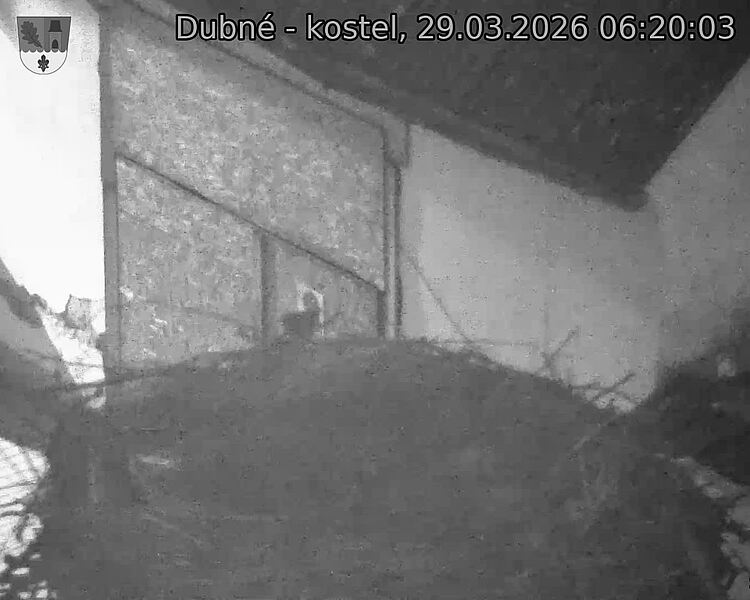 Capi_Dubne_20260329_062003.jpg (1350&nbsp;x&nbsp;1080)