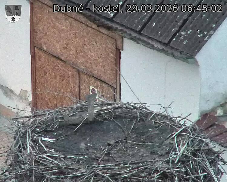 Capi_Dubne_20260329_064502.jpg (1350&nbsp;x&nbsp;1080)