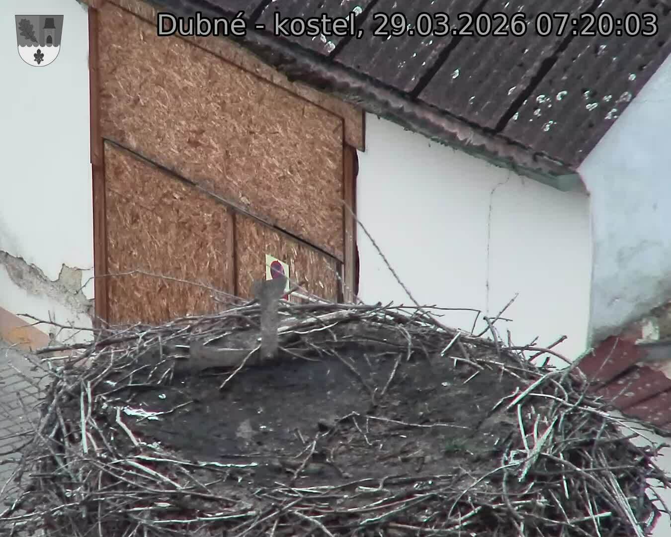 Capi_Dubne_20260329_072003.jpg (1350&nbsp;x&nbsp;1080)