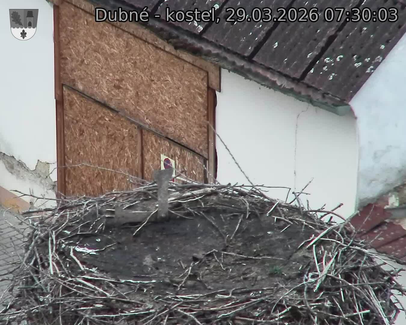 Capi_Dubne_20260329_073003.jpg (1350&nbsp;x&nbsp;1080)