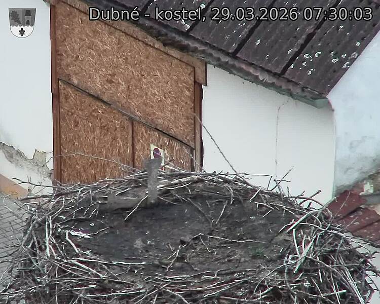 Capi_Dubne_20260329_073003.jpg (1350&nbsp;x&nbsp;1080)