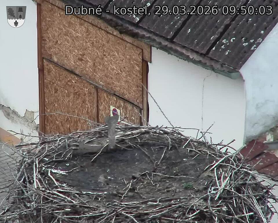 Capi_Dubne_20260329_095003.jpg (1350&nbsp;x&nbsp;1080)