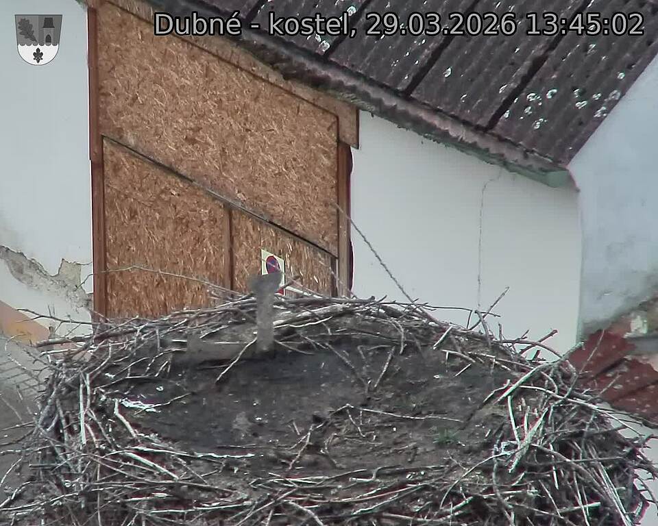 Capi_Dubne_20260329_134502.jpg (1350&nbsp;x&nbsp;1080)