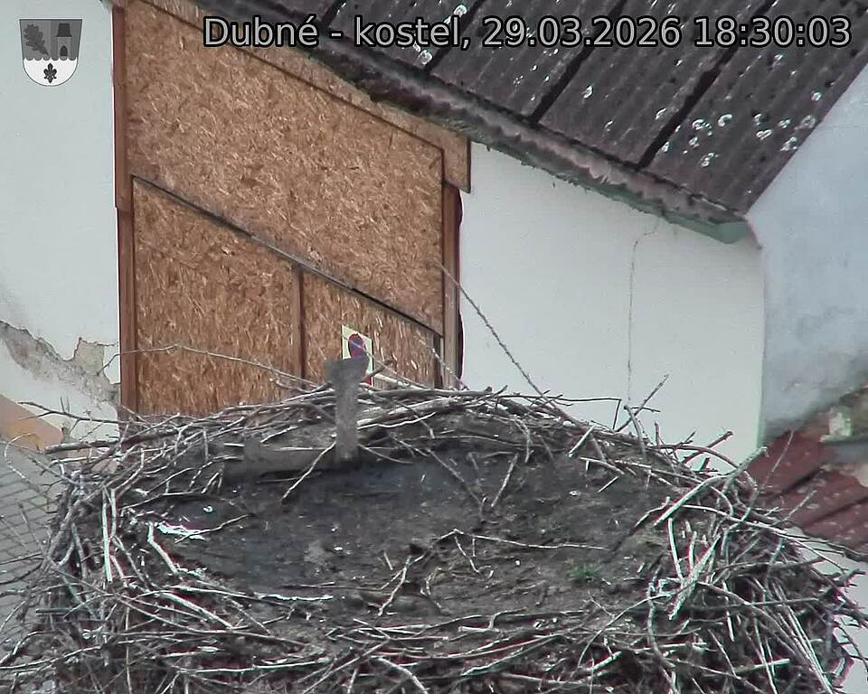 Capi_Dubne_20260329_183003.jpg (1350&nbsp;x&nbsp;1080)