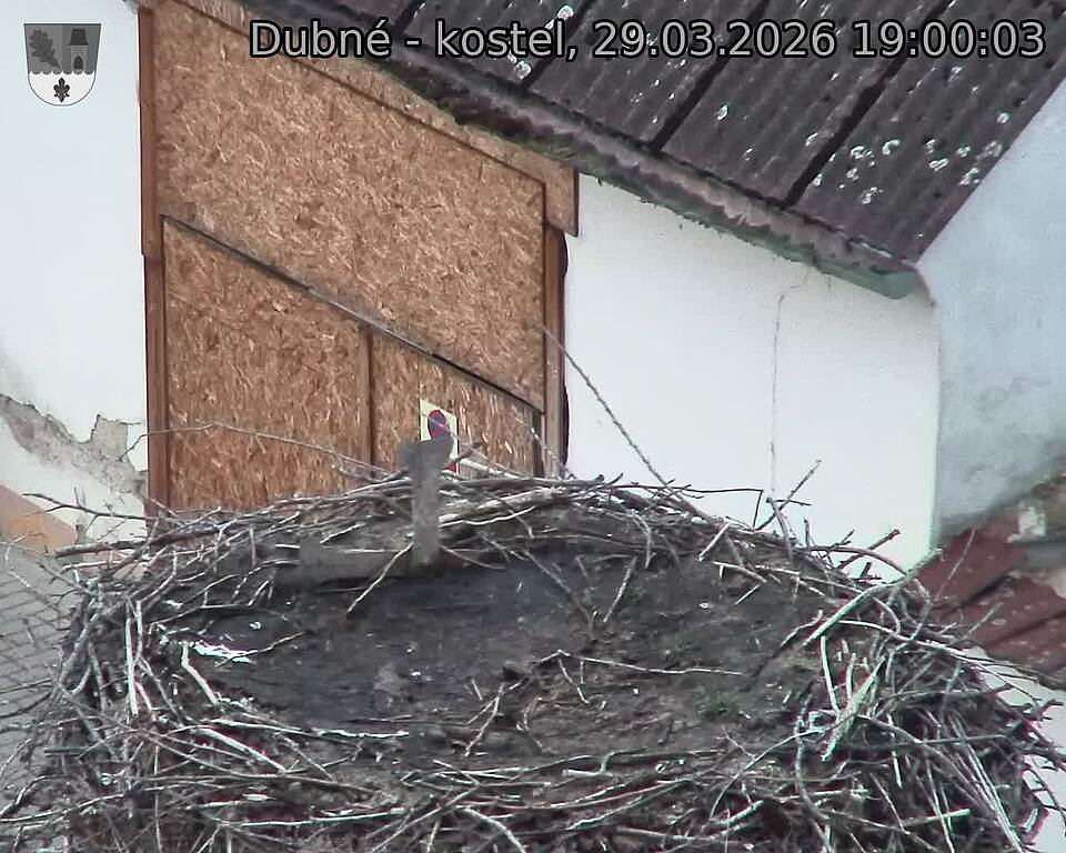 Capi_Dubne_20260329_190003.jpg (1350&nbsp;x&nbsp;1080)