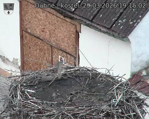 Capi_Dubne_20260329_191502.jpg (1350&nbsp;x&nbsp;1080)