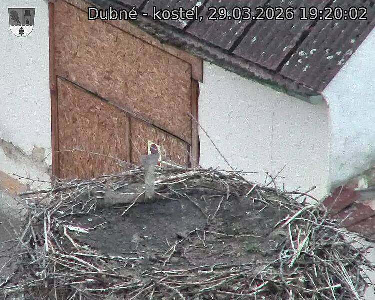 Capi_Dubne_20260329_192002.jpg (1350&nbsp;x&nbsp;1080)