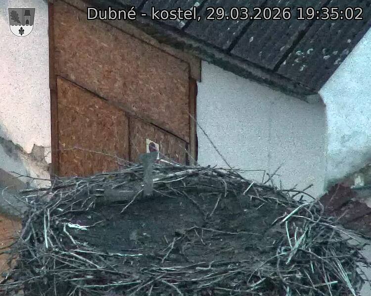 Capi_Dubne_20260329_193502.jpg (1350&nbsp;x&nbsp;1080)