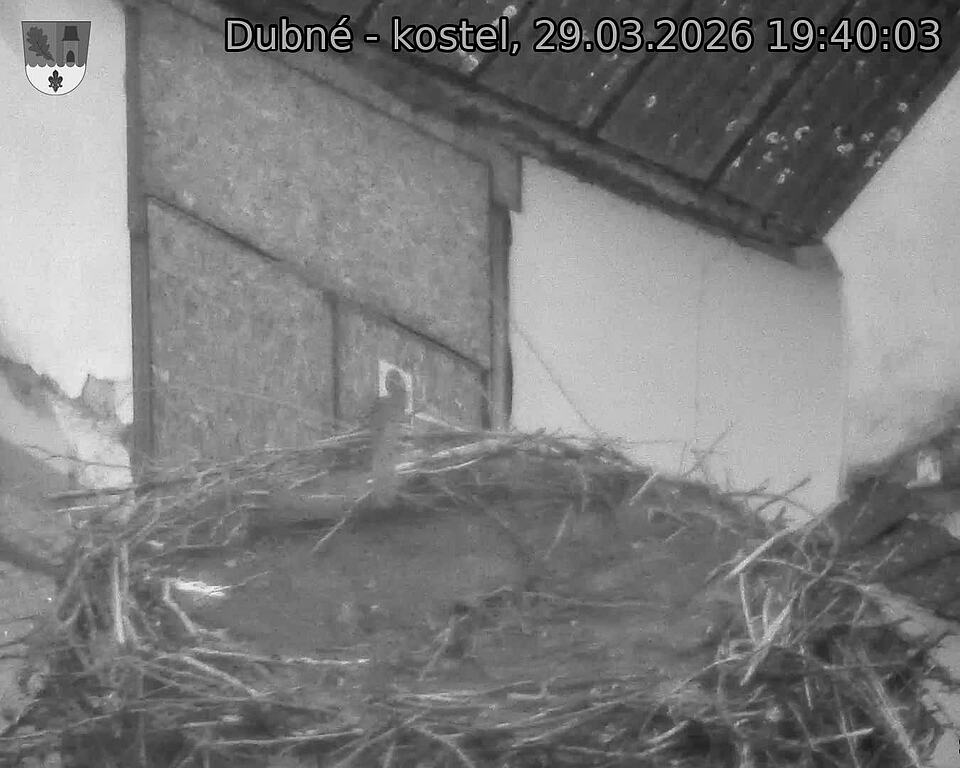 Capi_Dubne_20260329_194003.jpg (1350&nbsp;x&nbsp;1080)