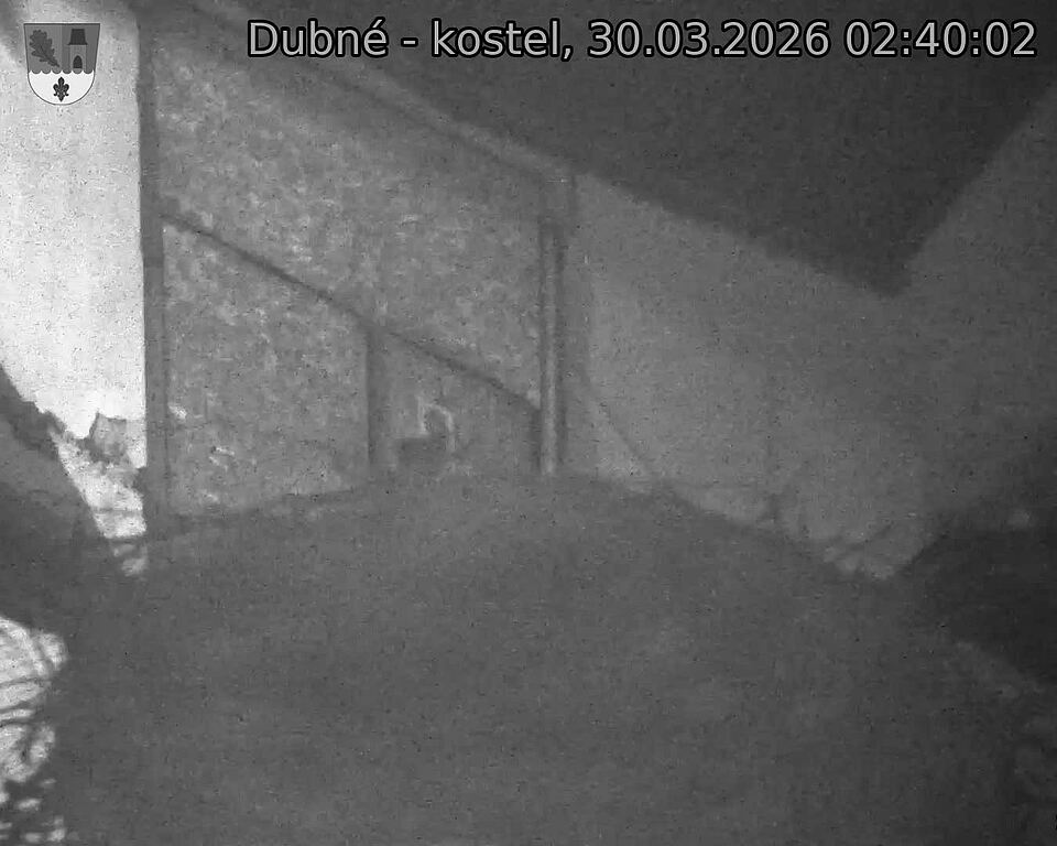 Capi_Dubne_20260330_024002.jpg (1350&nbsp;x&nbsp;1080)