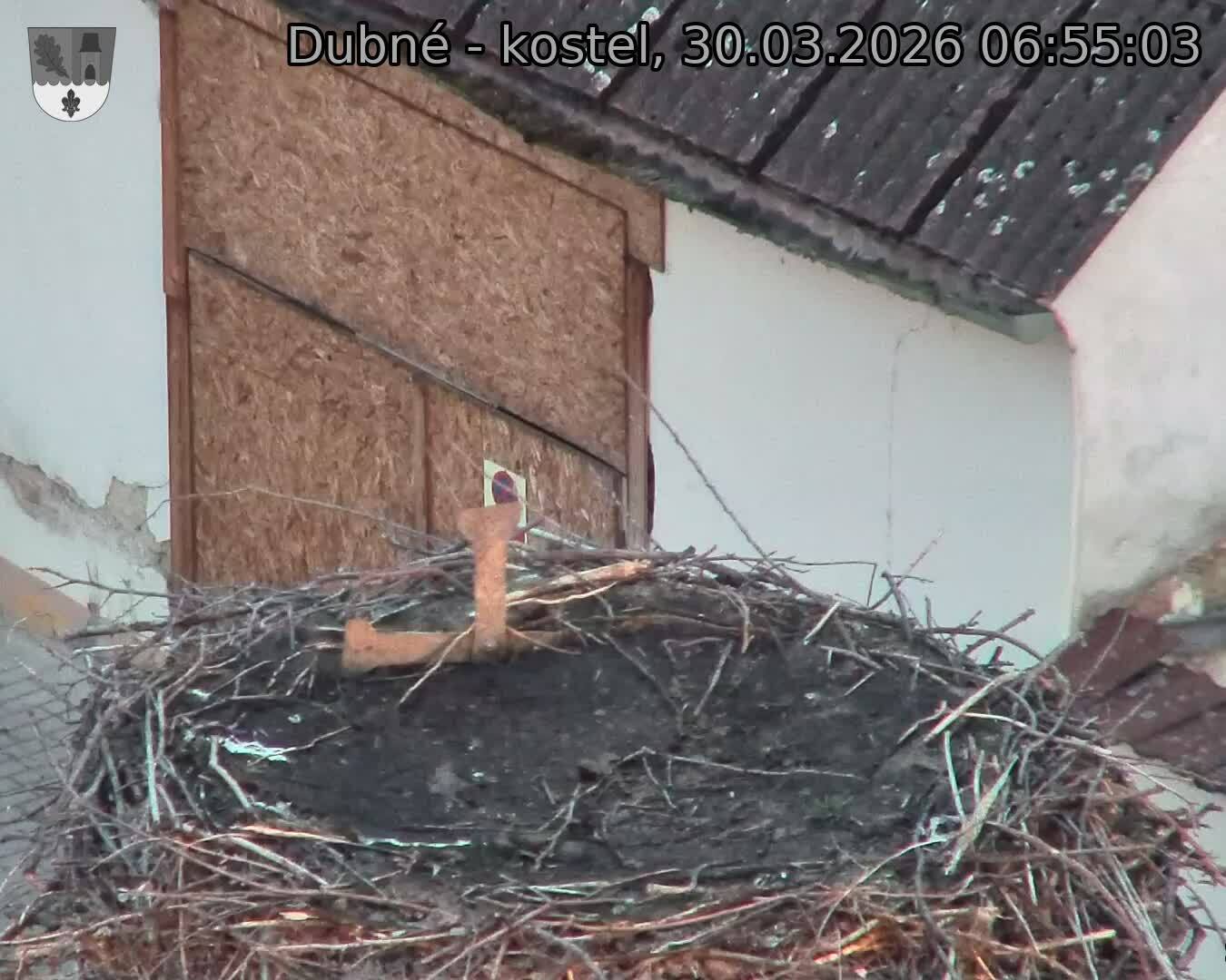 Capi_Dubne_20260330_065503.jpg (1350&nbsp;x&nbsp;1080)