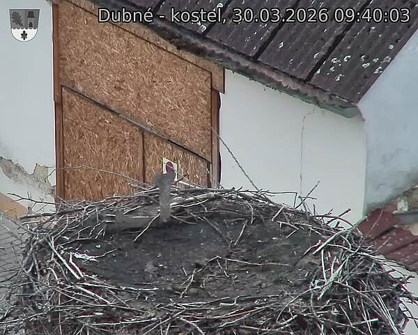 Capi_Dubne_20260330_094003.jpg (1350&nbsp;x&nbsp;1080)