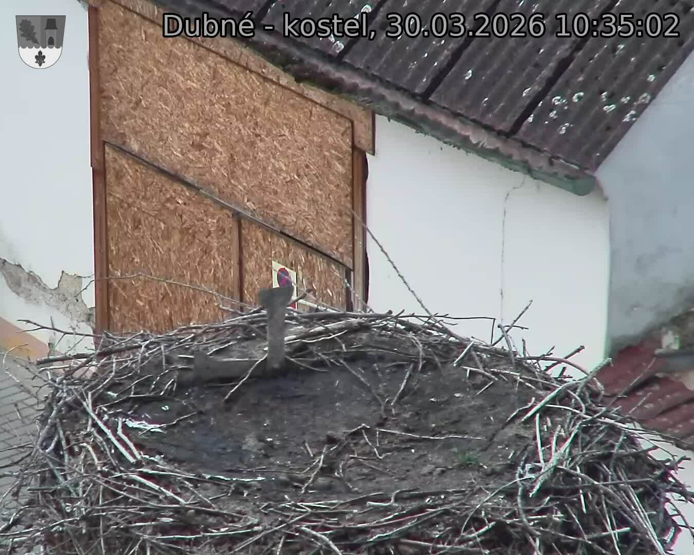 Capi_Dubne_20260330_103502.jpg (1350&nbsp;x&nbsp;1080)